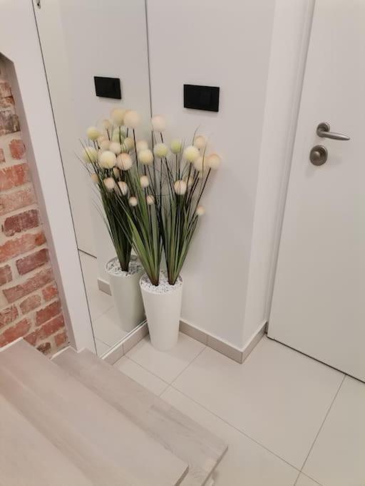 Studio Apartman Lenox Rijeka Buitenkant foto